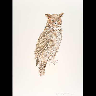 great horned
